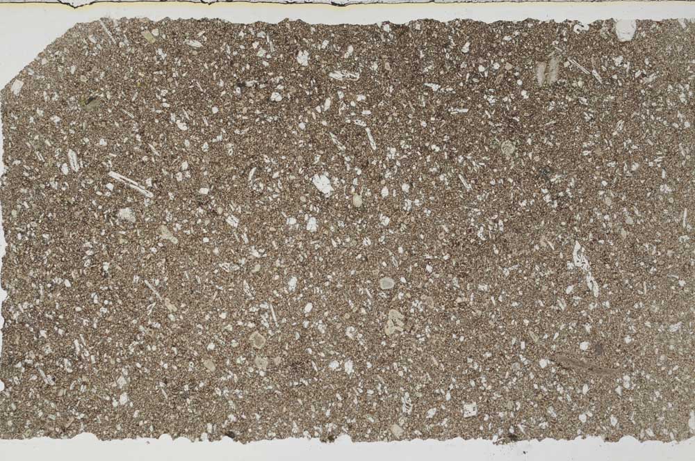 Plane Polarized, S59703