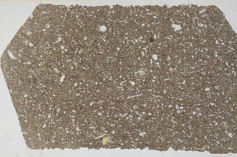 Plane Polarized, S59703/A