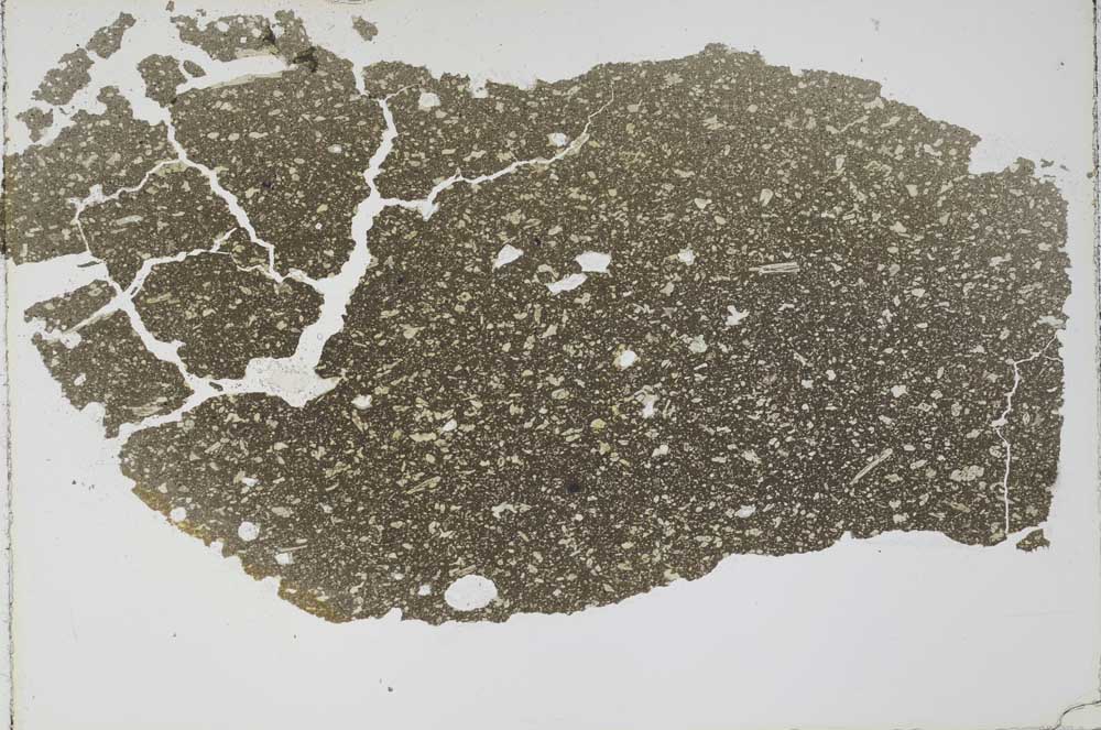 Plane Polarized, S59705