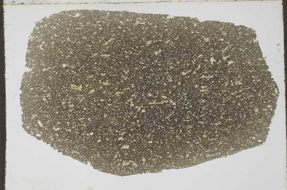 Plane Polarized, S59705/A