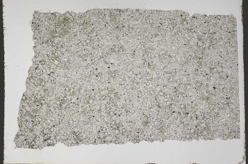 Plane Polarized, S59709