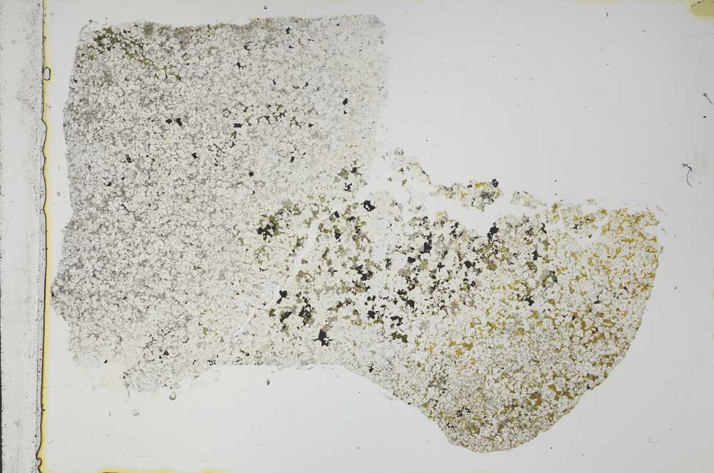 Plane Polarized, S59714