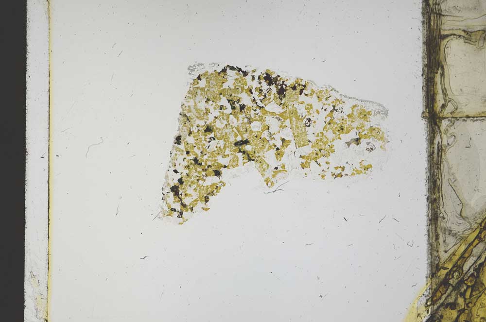 Plane Polarized, S59716