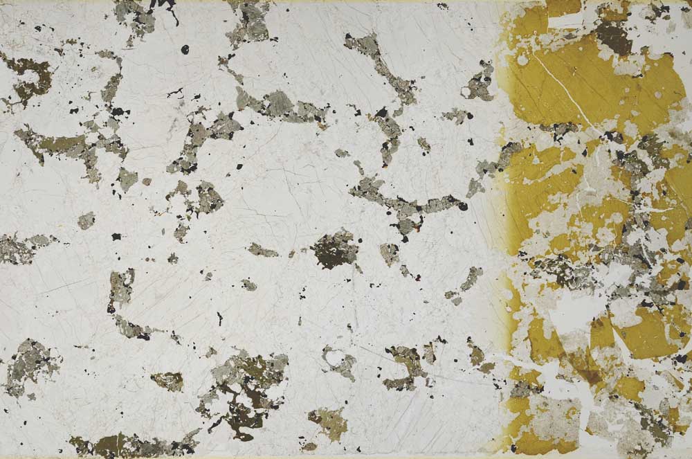 Plane Polarized, S59717