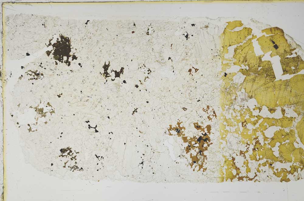 Plane Polarized, S59719