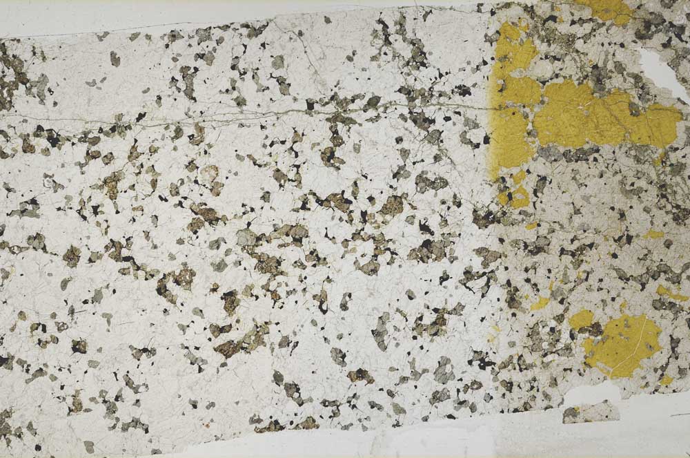 Plane Polarized, S59729