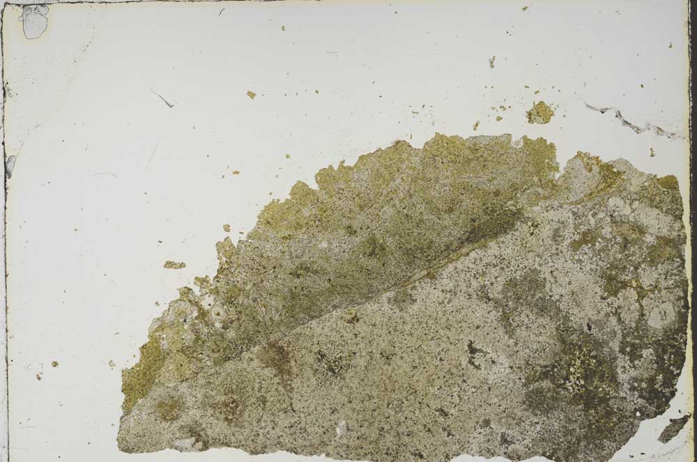 Plane Polarized, S59733/B