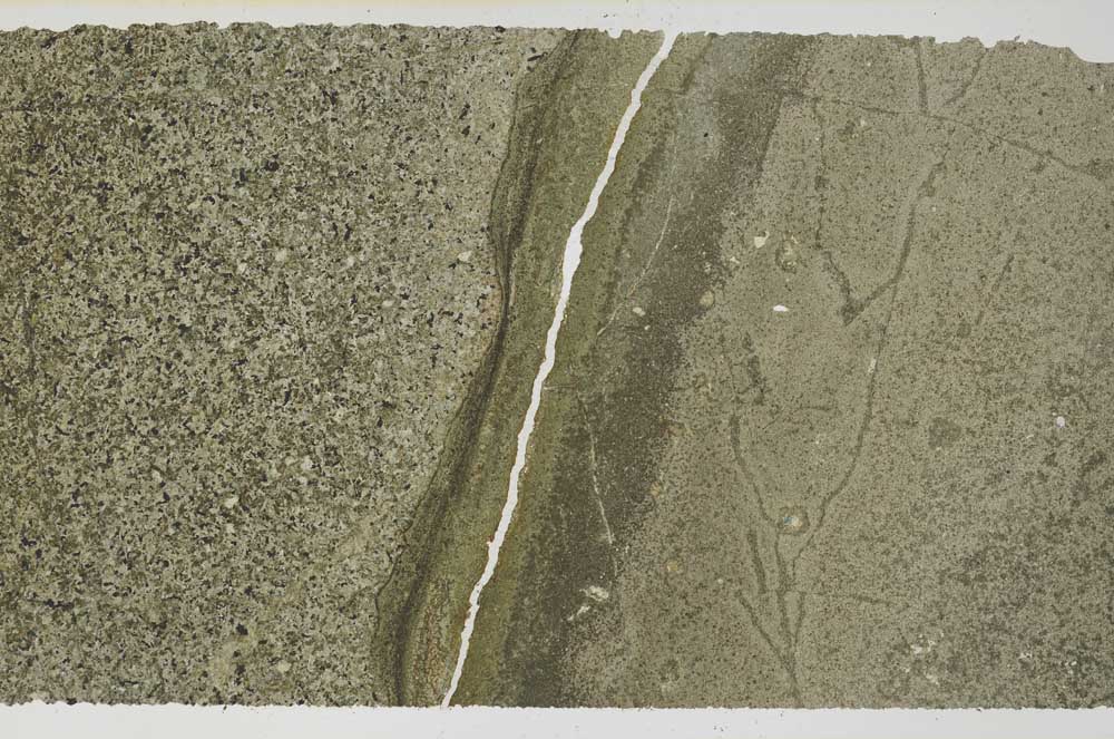 Plane Polarized, S59733/C