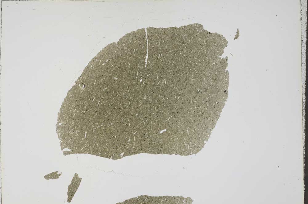 Plane Polarized, S59736