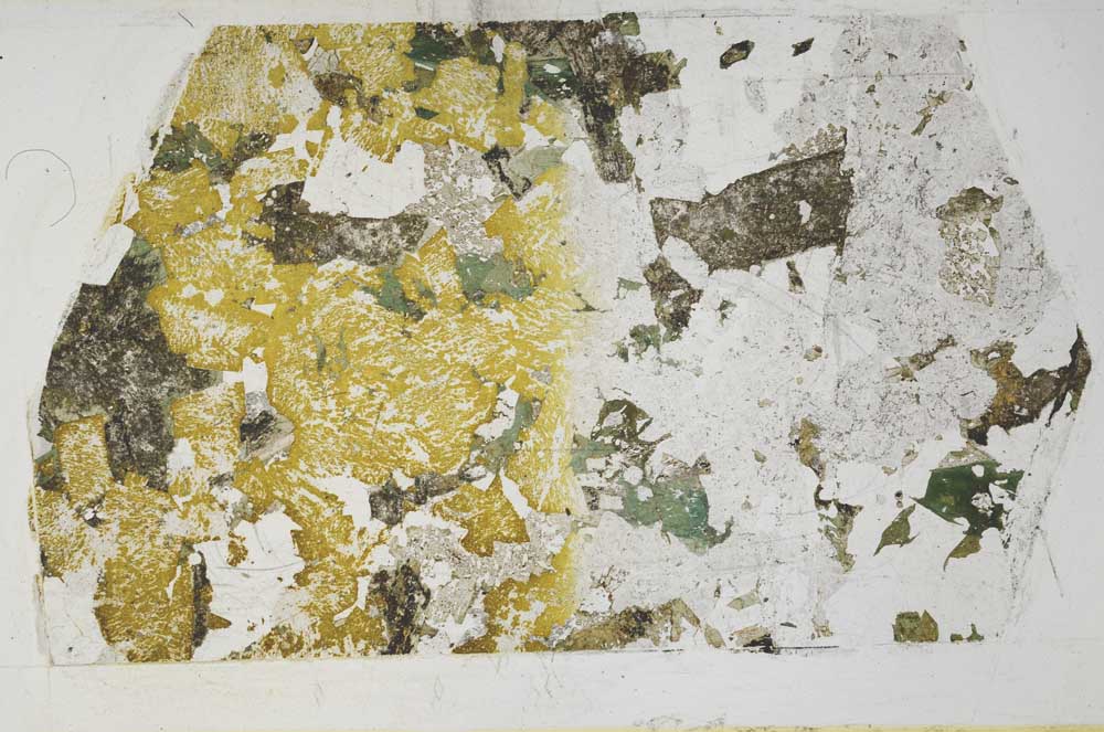 Plane Polarized, S59737/A