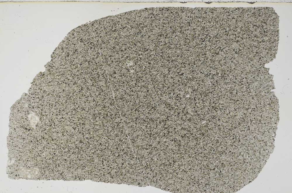 Plane Polarized, S59739/A