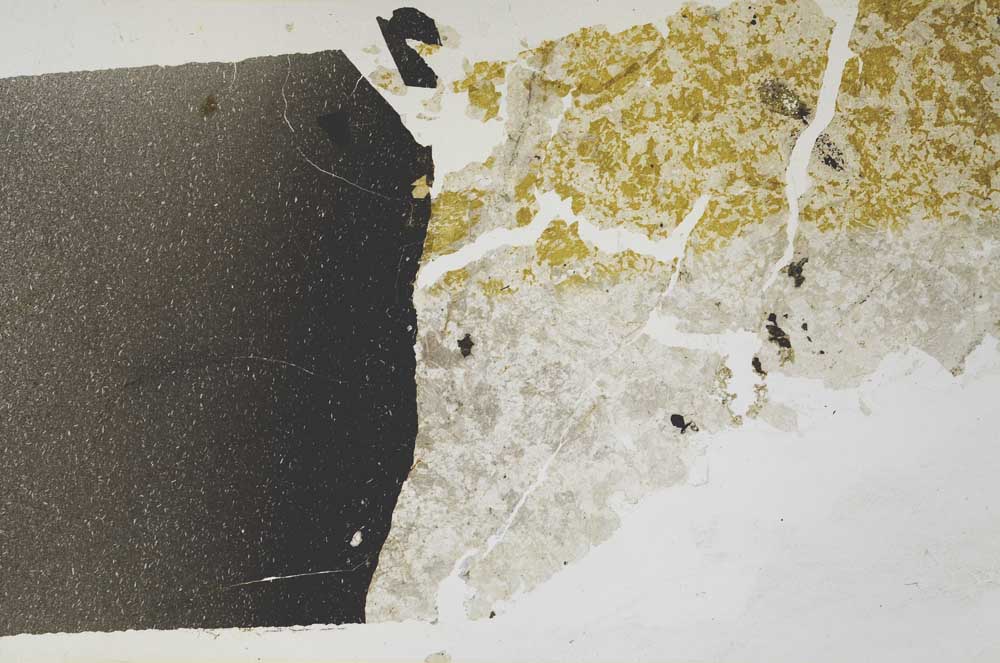 Plane Polarized, S59739/C