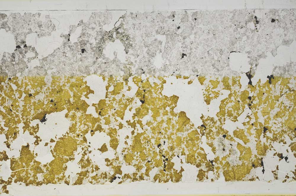 Plane Polarized, S59740