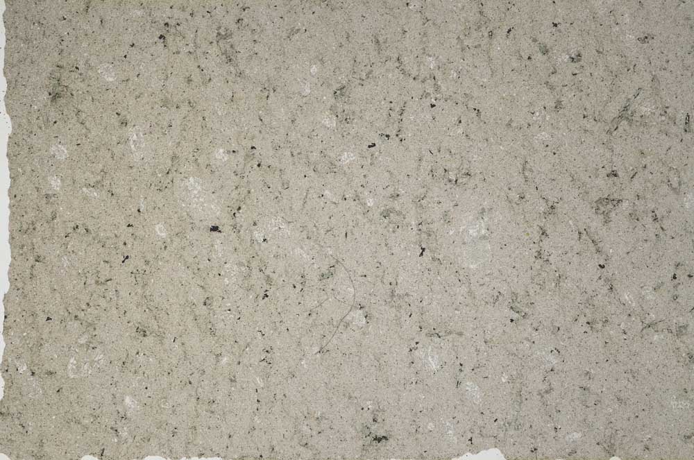 Plane Polarized, S59753