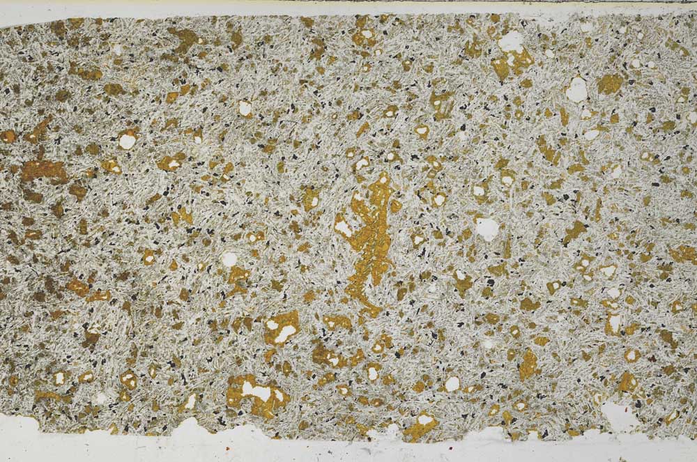 Plane Polarized, S59761