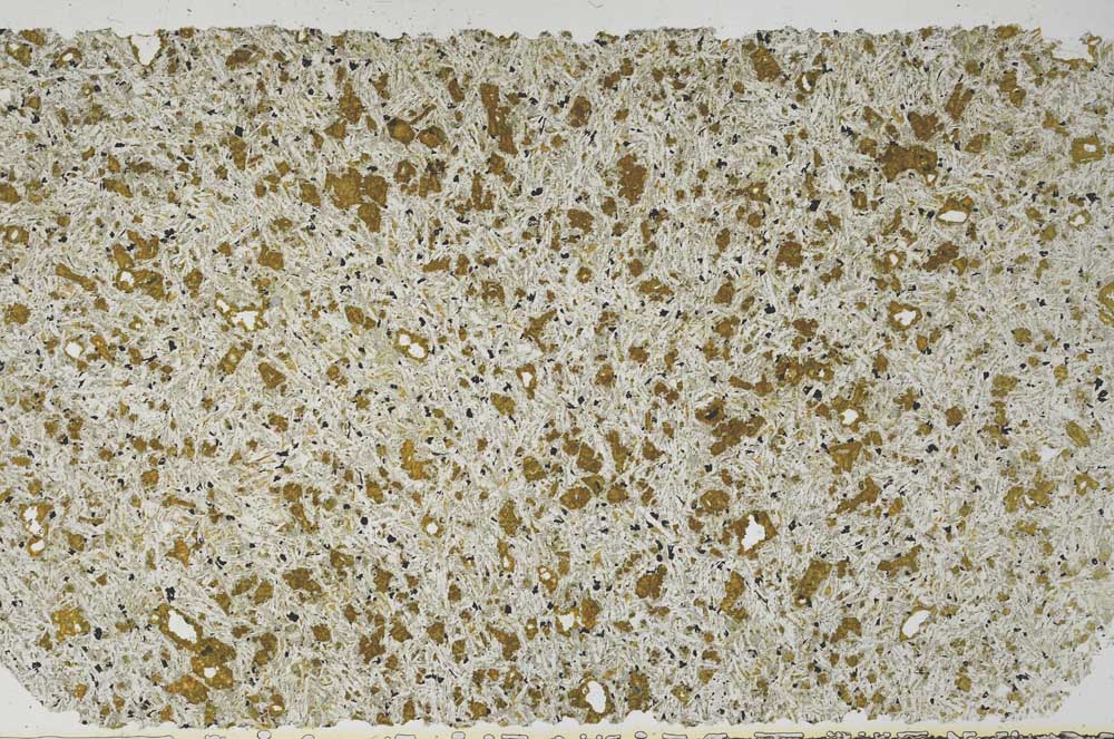 Plane Polarized, S59761/A