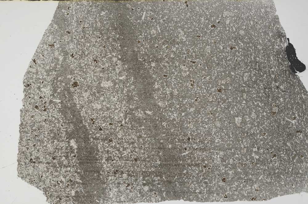 Plane Polarized, S59765