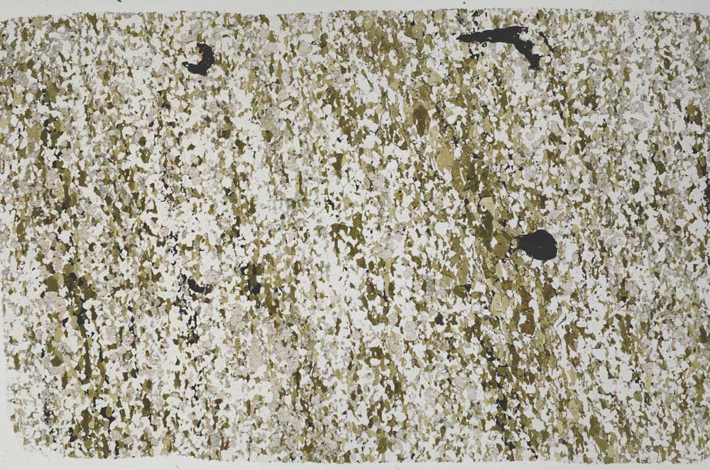 Plane Polarized, S59779