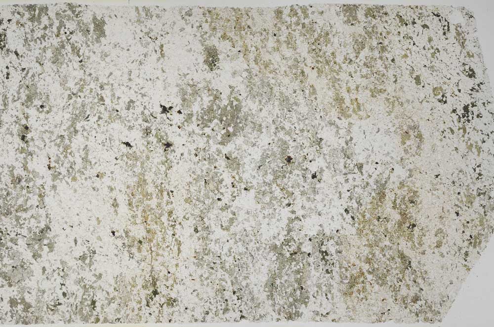 Plane Polarized, S59788