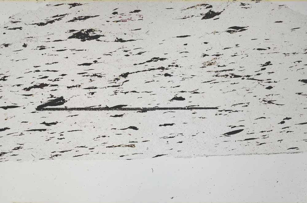 Plane Polarized, S59789/B