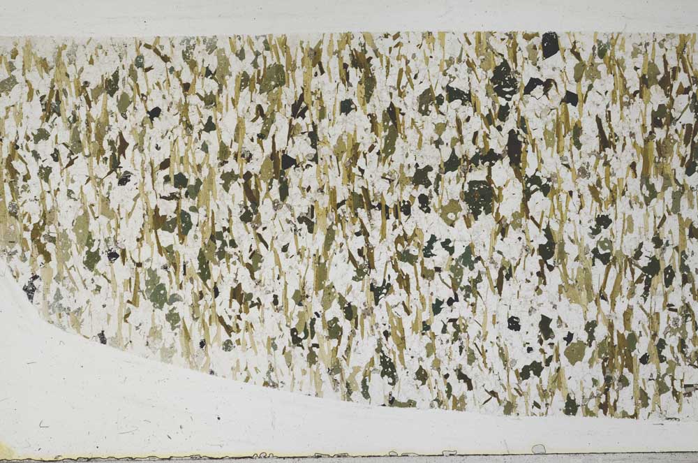 Plane Polarized, S59796/A