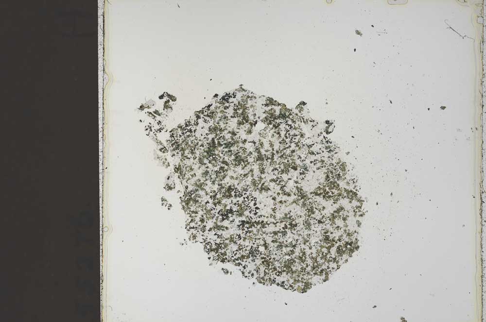 Plane Polarized, S59827