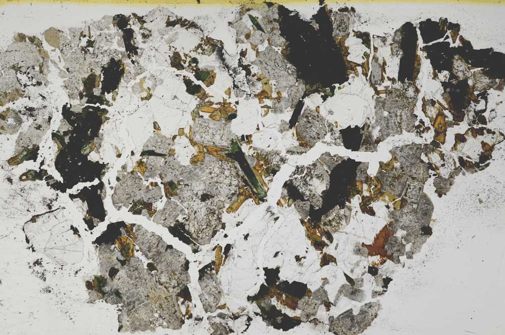 Plane Polarized, S59833/C