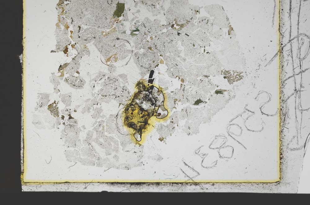 Plane Polarized, S59833/D