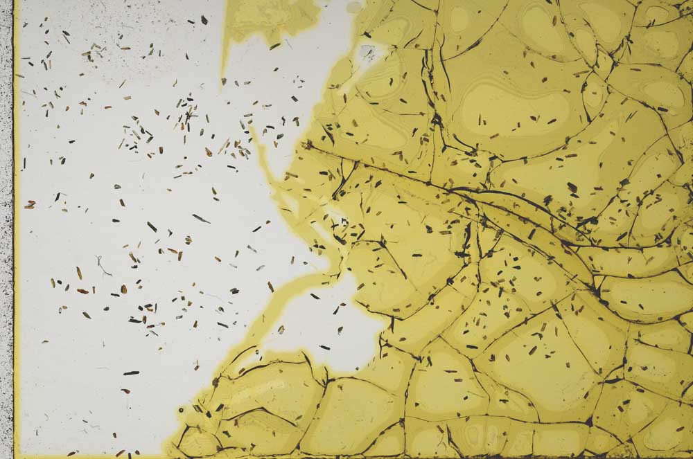 Plane Polarized, S59834/A