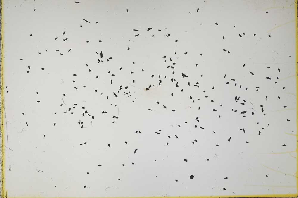 Plane Polarized, S59834/B