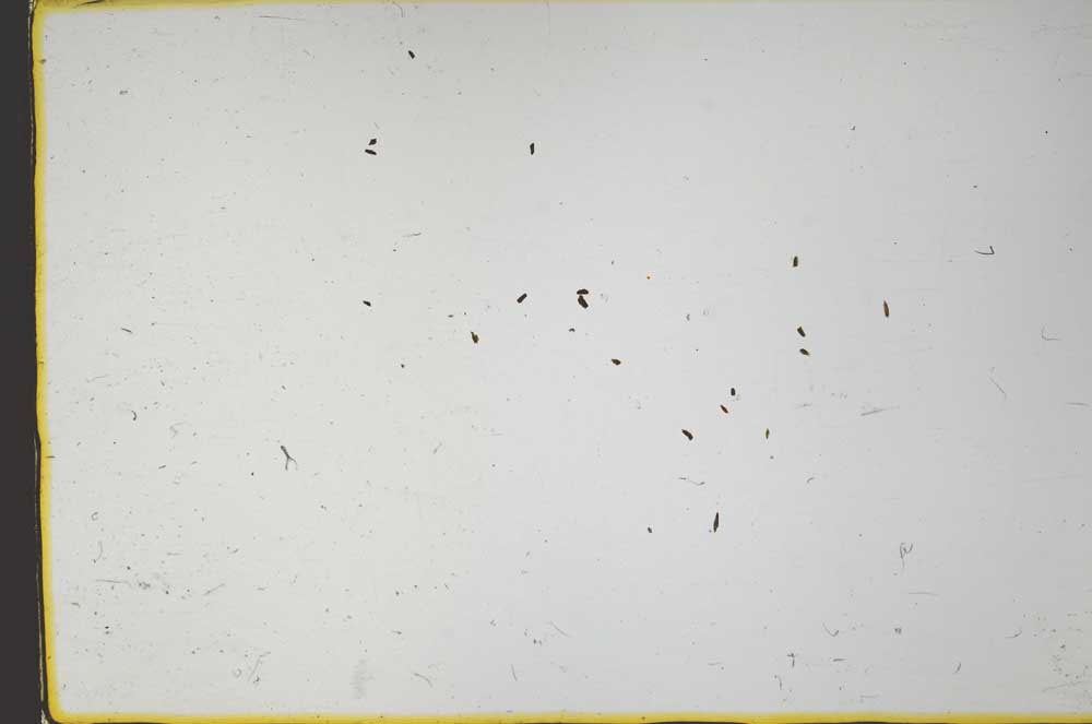 Plane Polarized, S59834/C