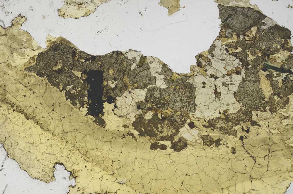 Plane Polarized, S59834/D