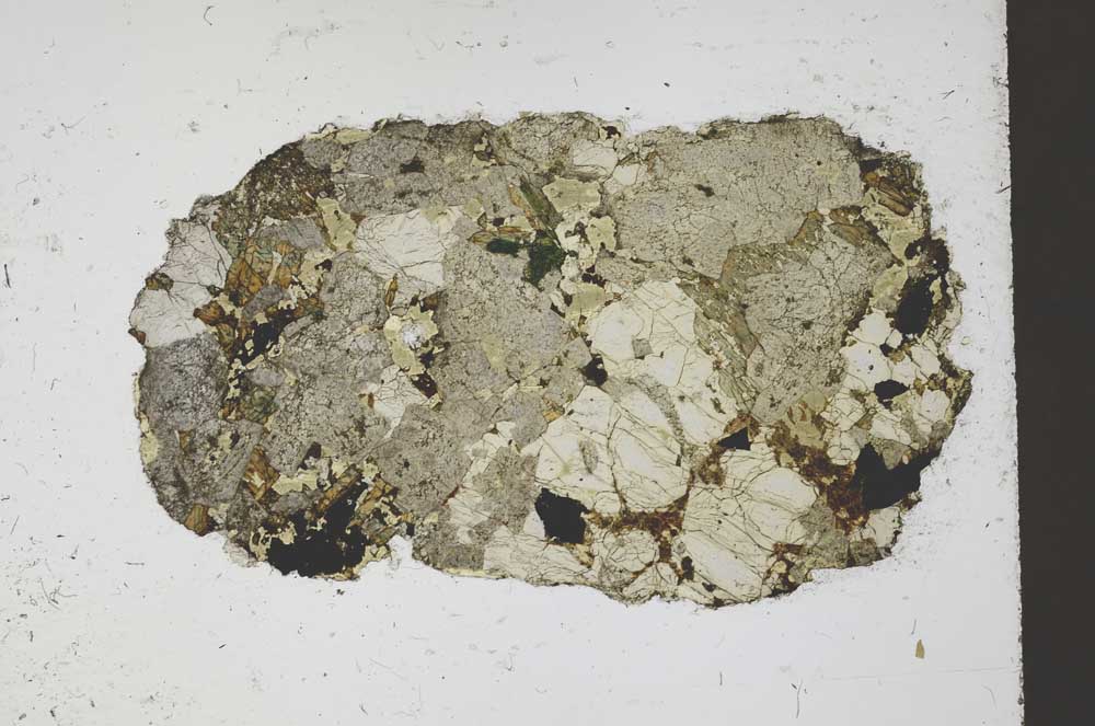 Plane Polarized, S59834/E