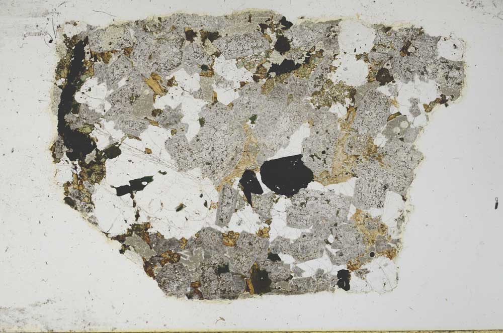 Plane Polarized, S59834/G