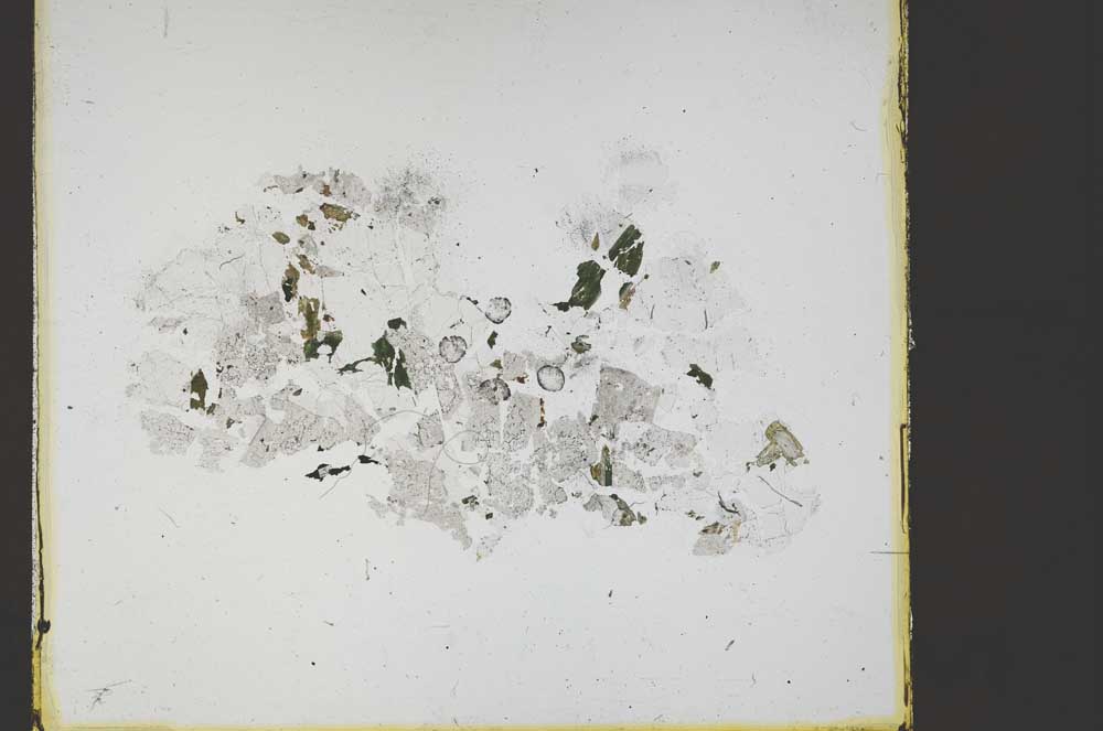 Plane Polarized, S59835