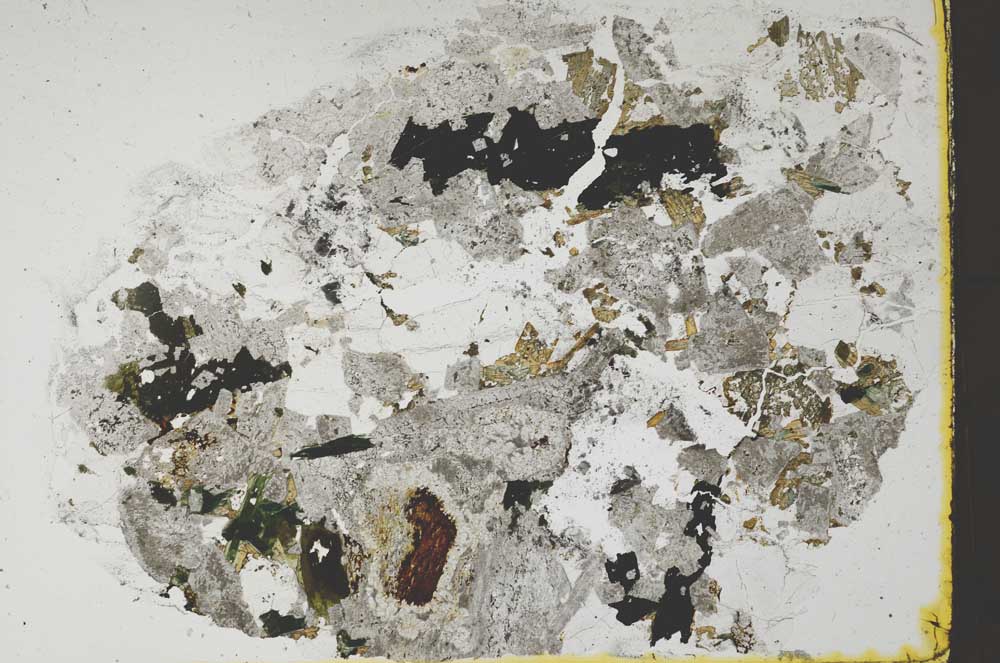 Plane Polarized, S59838