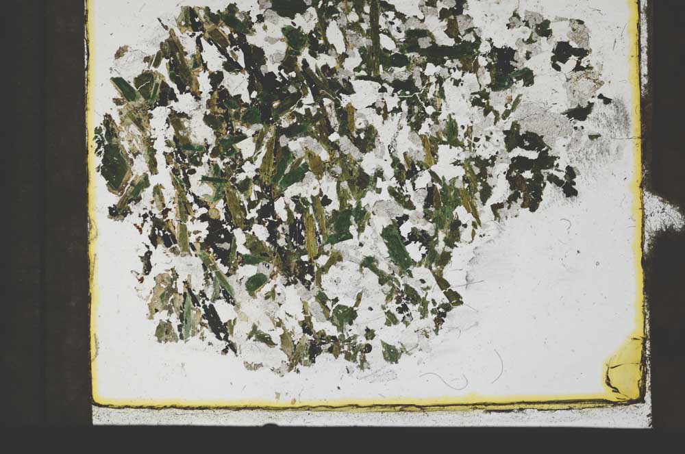 Plane Polarized, S59844