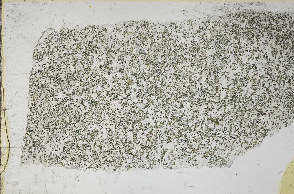 Plane Polarized, S59858