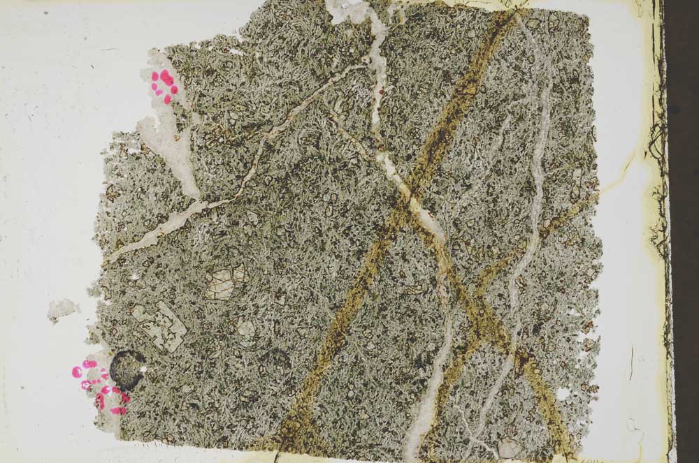 Plane Polarized, S59862