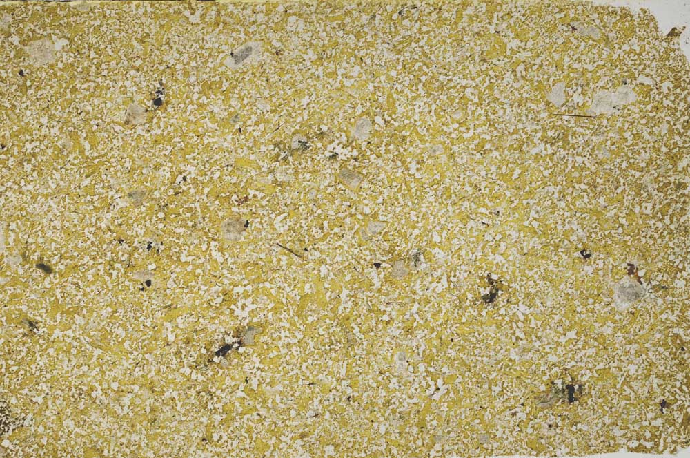 Plane Polarized, S59864/A