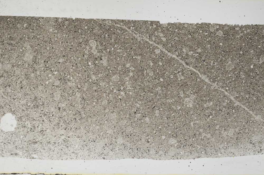 Plane Polarized, S59869