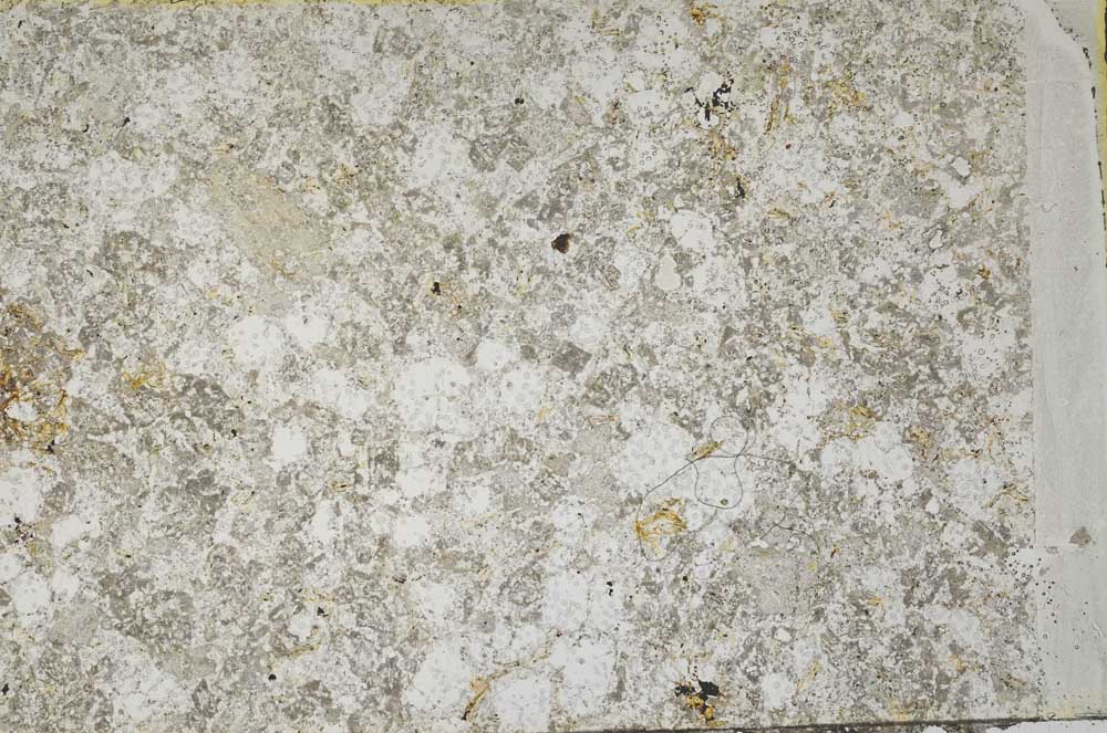 Plane Polarized, S59900