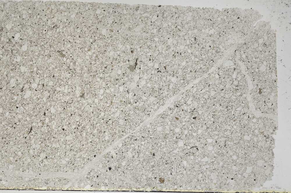 Plane Polarized, S59903