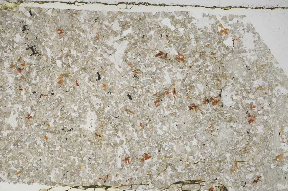 Plane Polarized, S59931