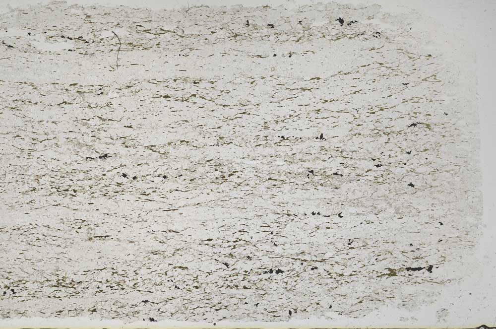 Plane Polarized, S59943