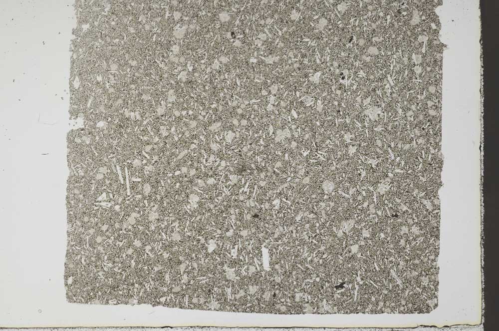 Plane Polarized, S59964