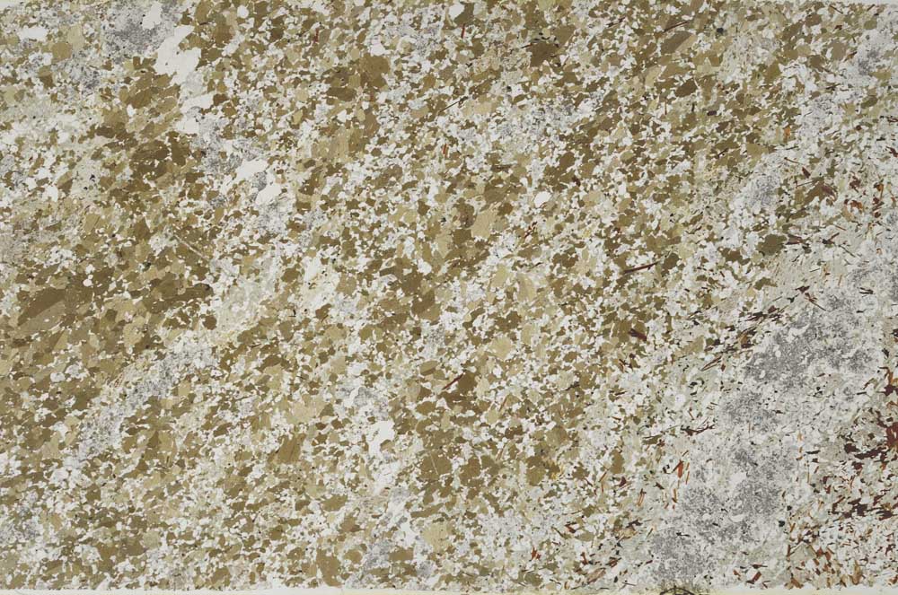 Plane Polarized, S59970