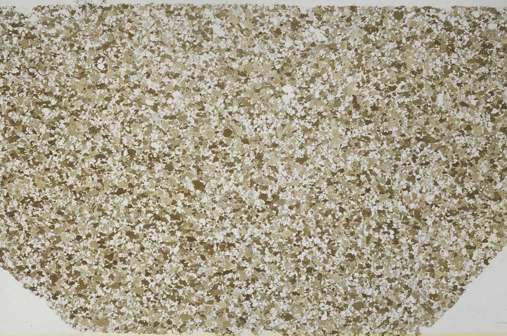 Plane Polarized, S59971