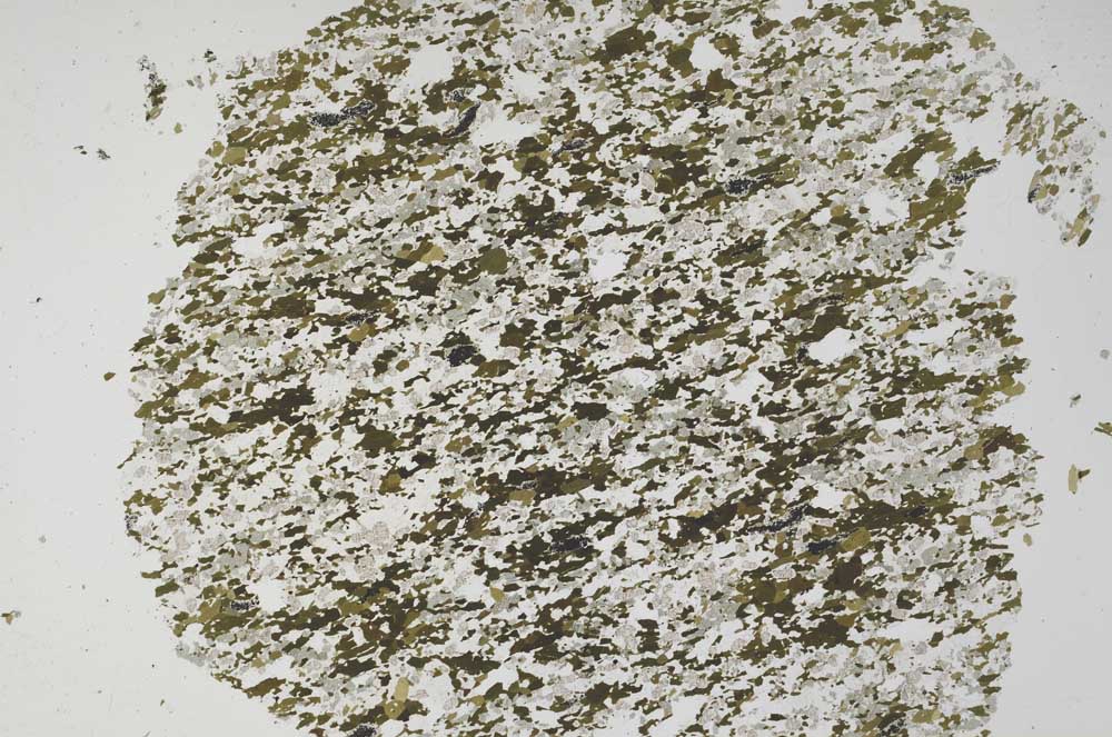 Plane Polarized, S59986