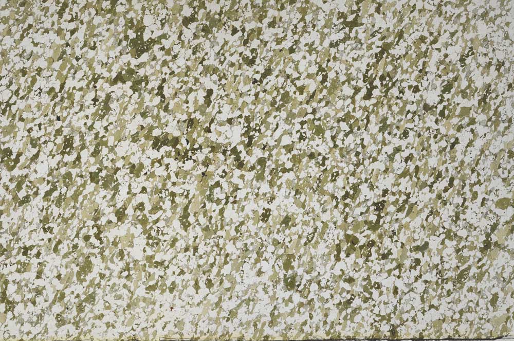 Plane Polarized, S59989